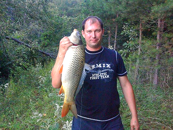 Игорь Колчерин