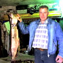 Александр Соколов