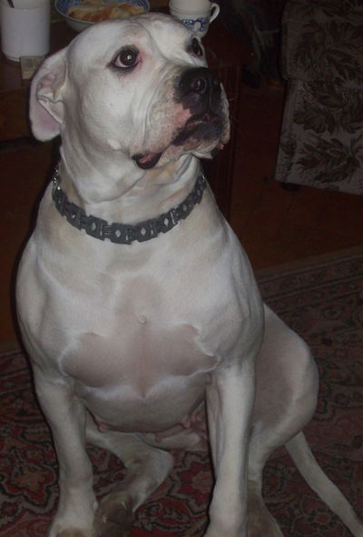 Вячаслав Борисов