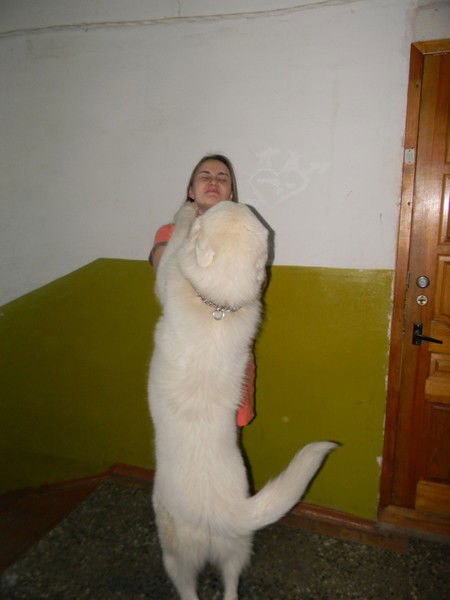 Вероника Андреева