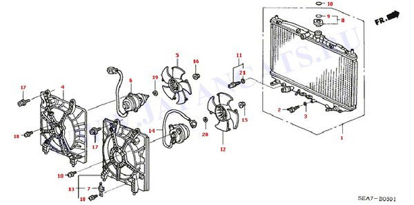 Дима Ворников
