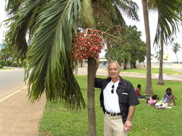 Giorgi Gachechiladze