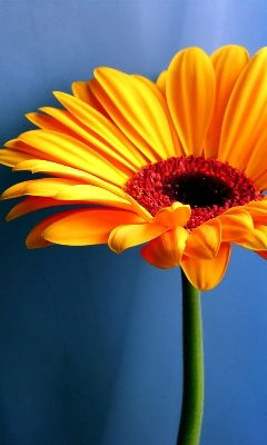 Валида Хайруллина