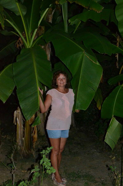 Альбина Степанова