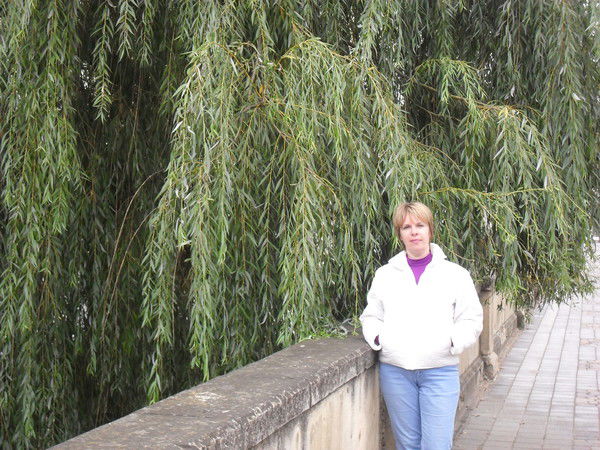 Елена Хомикова