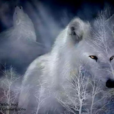 Ильдус Мухамедов