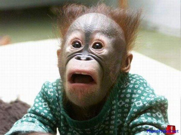 ?вадим Вольнов?