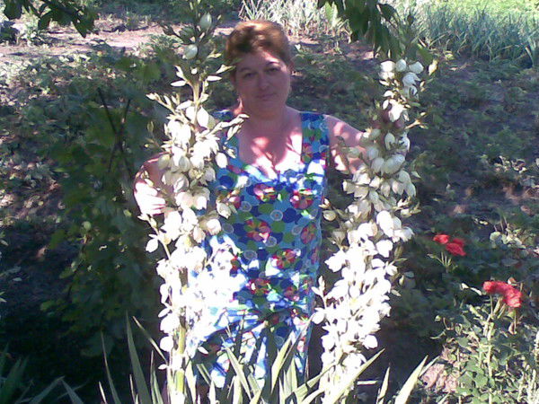 Елена Писаренко