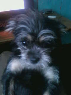 Павел Скаков