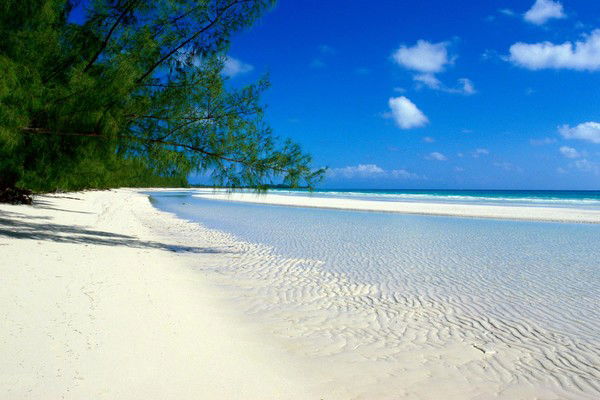 Эльнара Ахаева