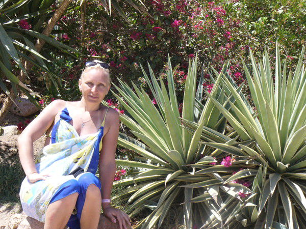 Светлана Седякина