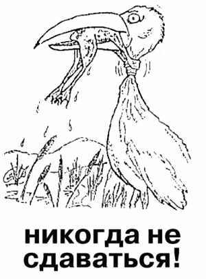 Вячеслав Баев