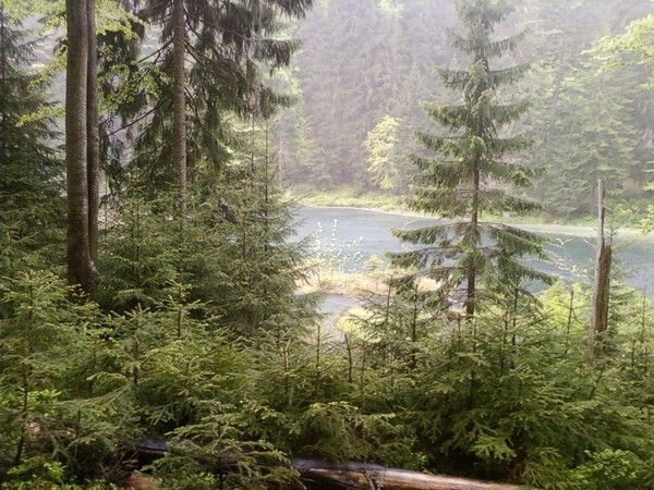 Вячеслав Колчар