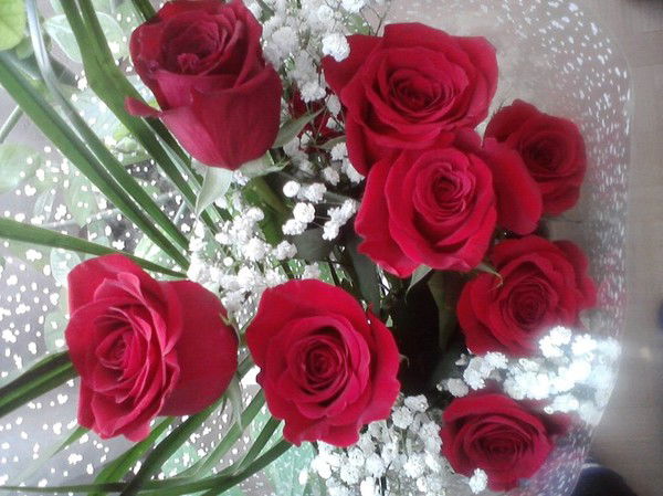 Татьяна Малыхина