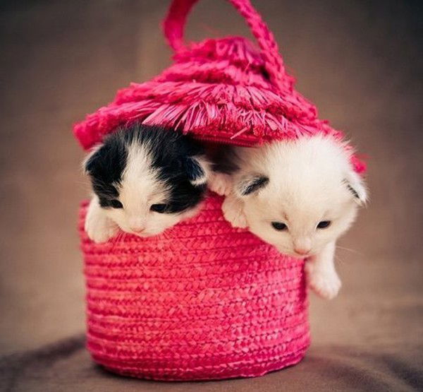 Лиана Урунова