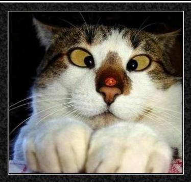 Минздравсоцразвития Экономисты