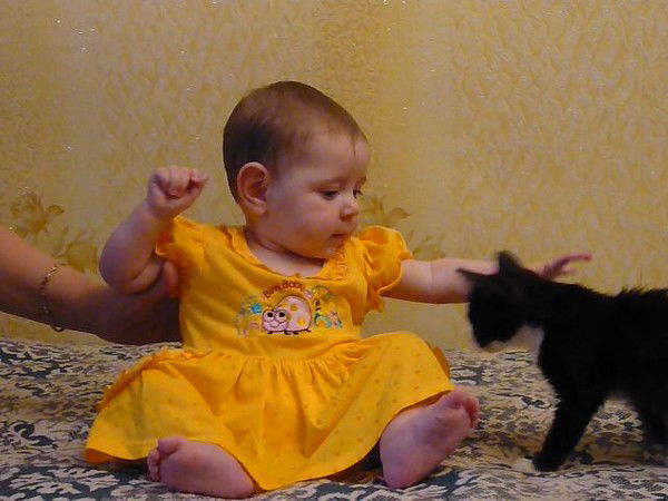 Катюха ********