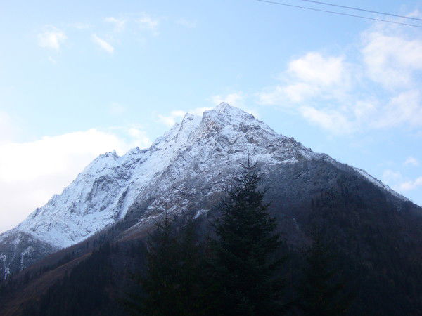 Нуриетта Тов