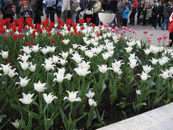 Гузель Гамируллина