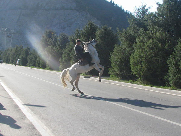 Тайбек Жорабекулы