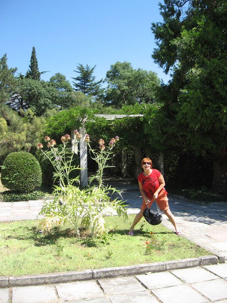 Елена Которова