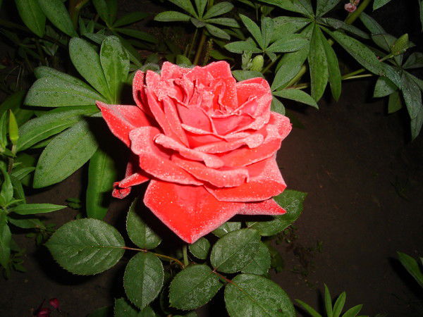 Татьяна Рудакова