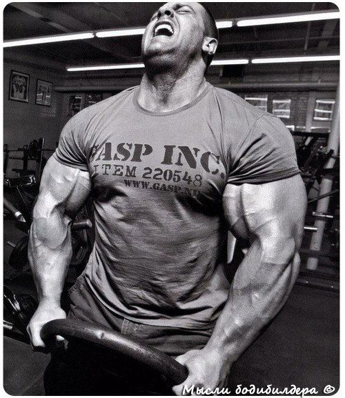 Александер 7