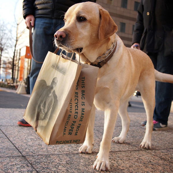Альберт Байгильдин