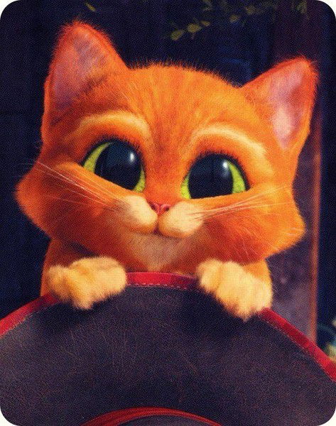 Александра Агаркова