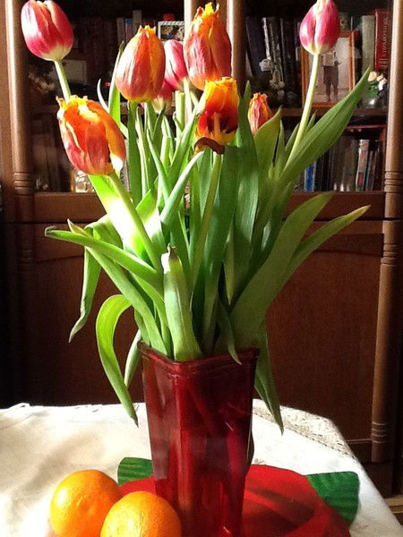 Анжела Сдобнякова