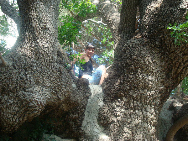 Владислава Блажко