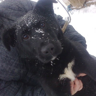 Ильяс Бибарсов