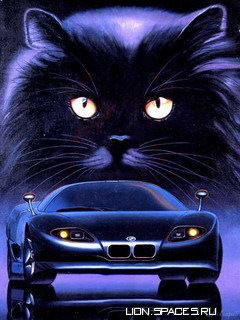 Андрей Куреннов