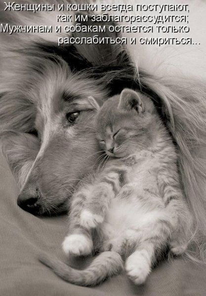 Екатерина Муромцева