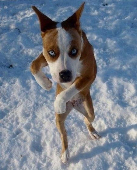 Алексей Кузнецов