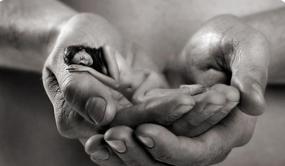 Елена Анохина