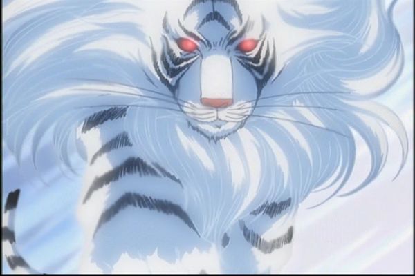 Мария Федорова