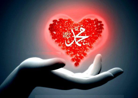 Регишка Зайка Псих По Жизни, А Коротко Р