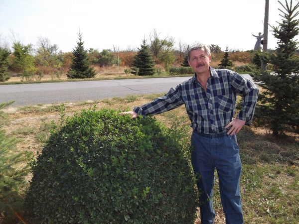 Владимир Фролов