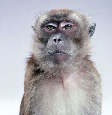 Ирина Галламова