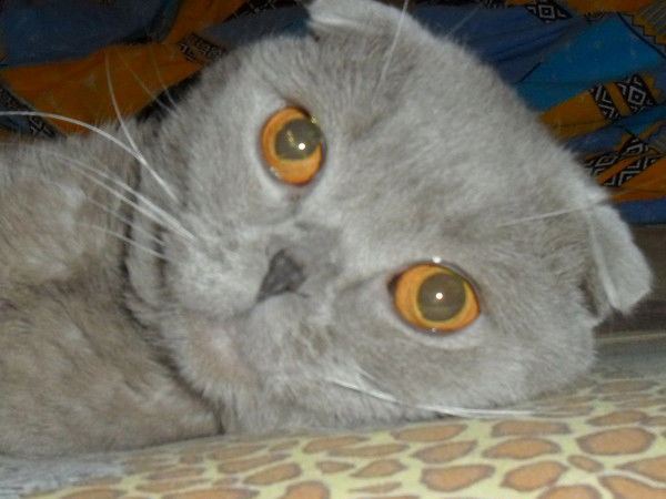 Вячеслав Простов