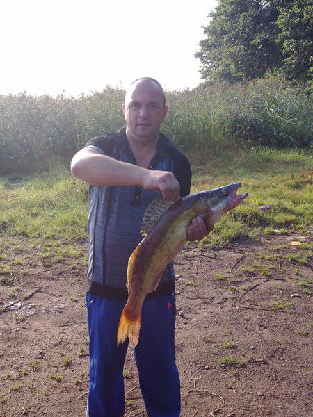 Андрей Шмаков