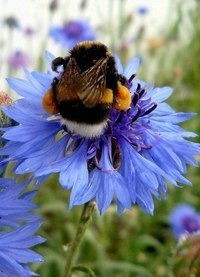 Татьяна Шишова