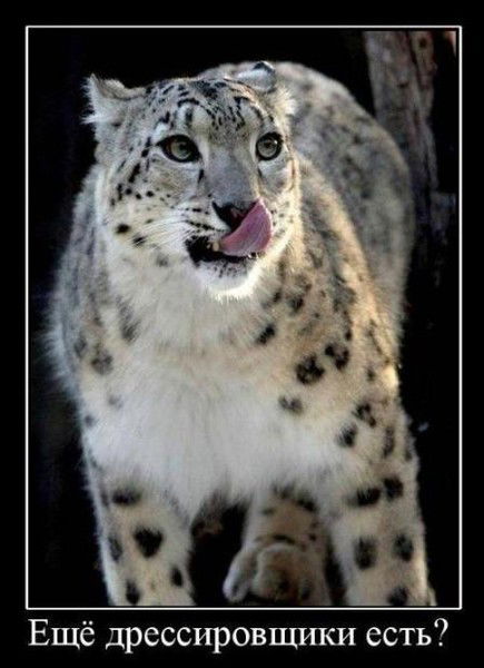 Султан Бейсатов