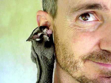 Елена S'peters'tar