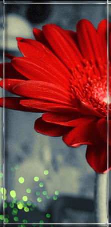 Яна Платицина