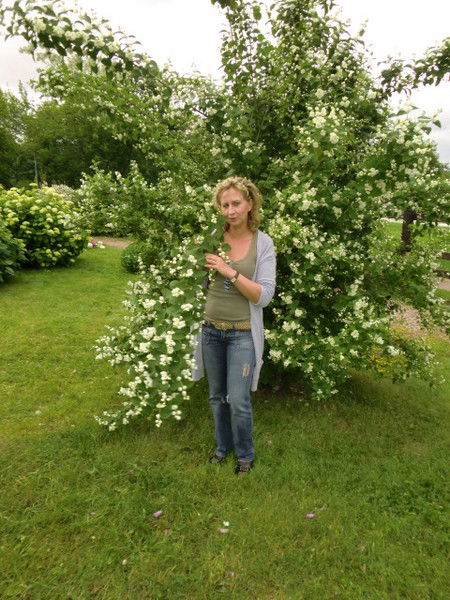 Светлана Чистякова