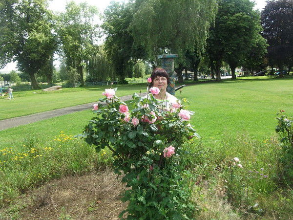 Лариса Аверина