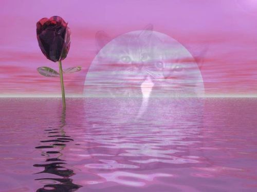 Анатолий Коробка