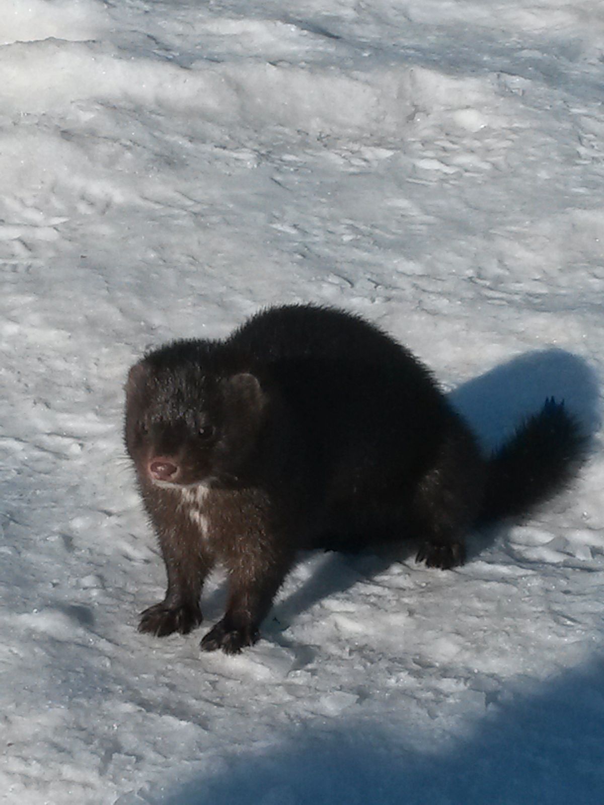 Дмитрий Сликишин